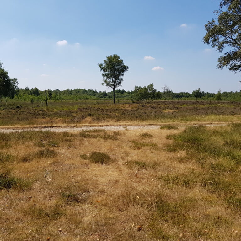 Fahrradtour – Witte Veen – Buurserveen – Haaksbergervenn