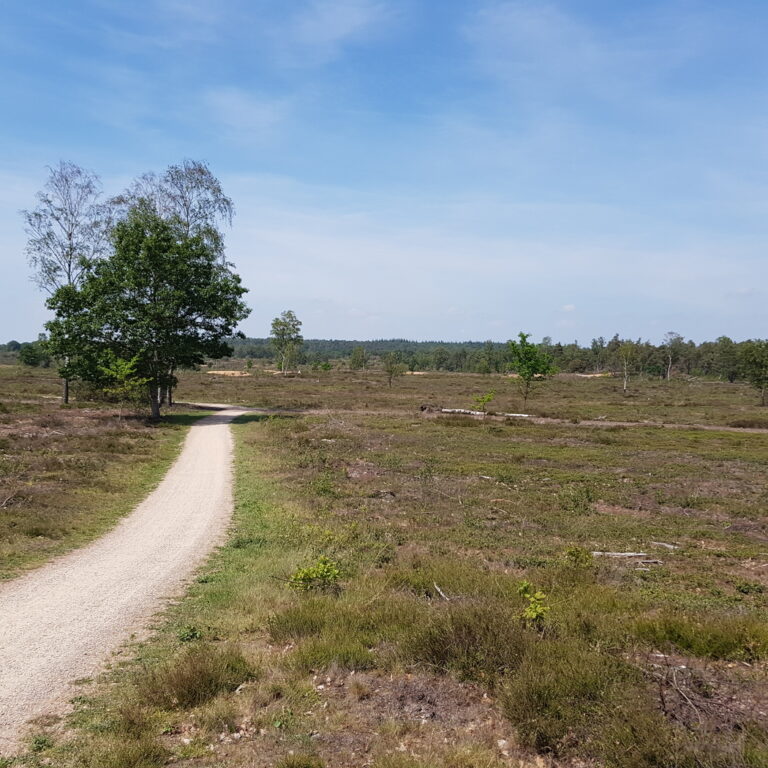 Fahrradtour – Nationalpark Sallandse