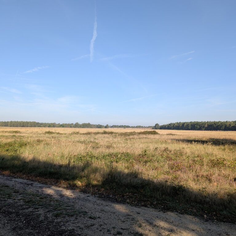 Fahrradtour durch die Maasduinen